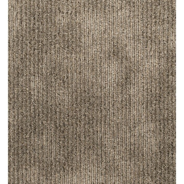 Mocheta Popular Attraction