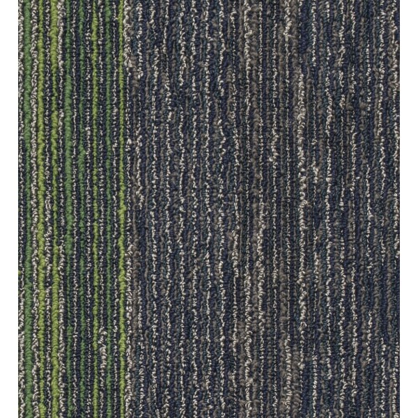 Mocheta Seismic Wave