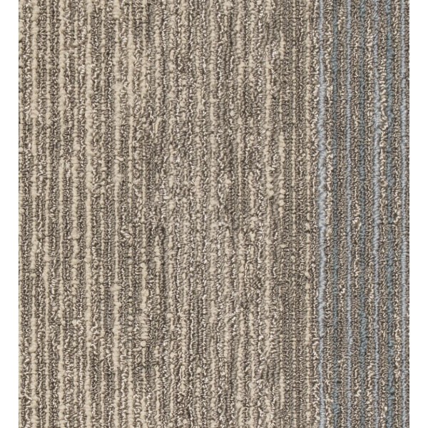 Mocheta Seismic Wave