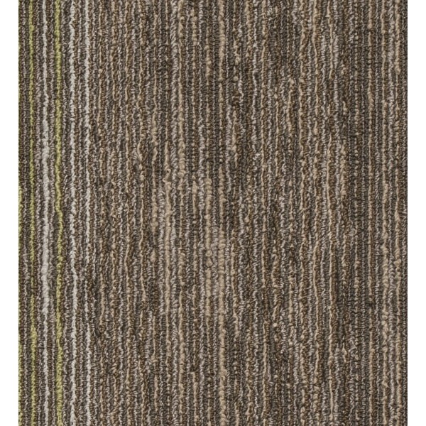 Mocheta Seismic Wave