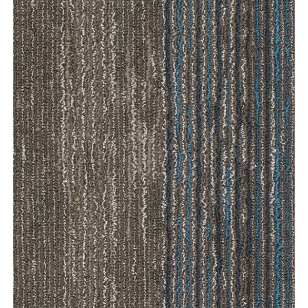 Mocheta Seismic Wave