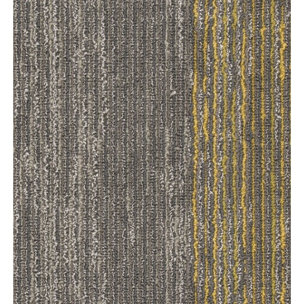 Mocheta Seismic Wave