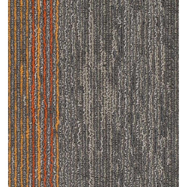 Mocheta Seismic Wave