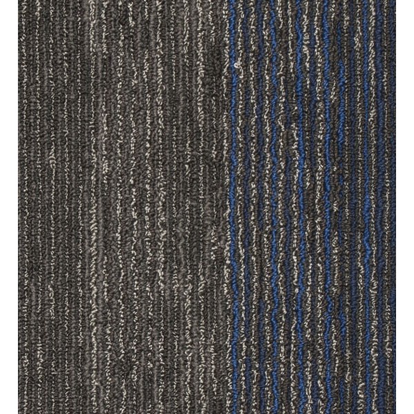 Mocheta Seismic Wave