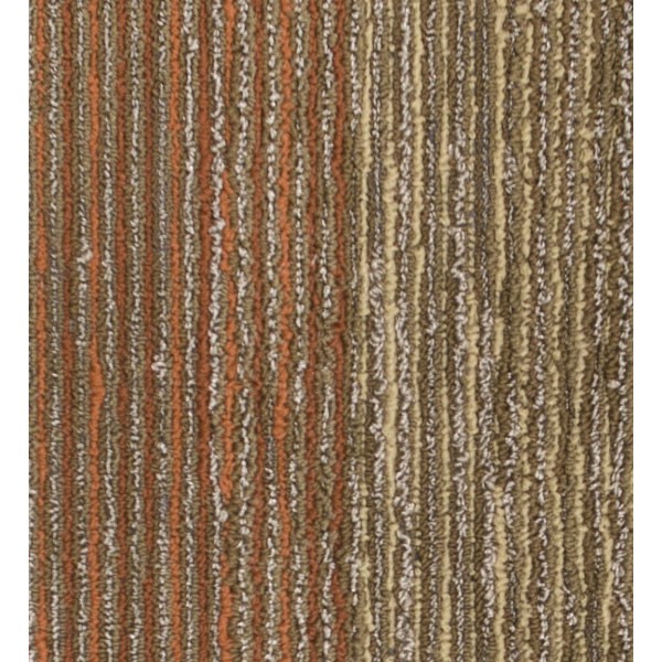 Mocheta Seismic Wave